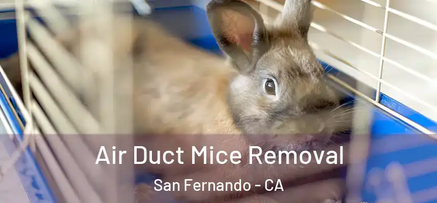  Air Duct Mice Removal San Fernando - CA