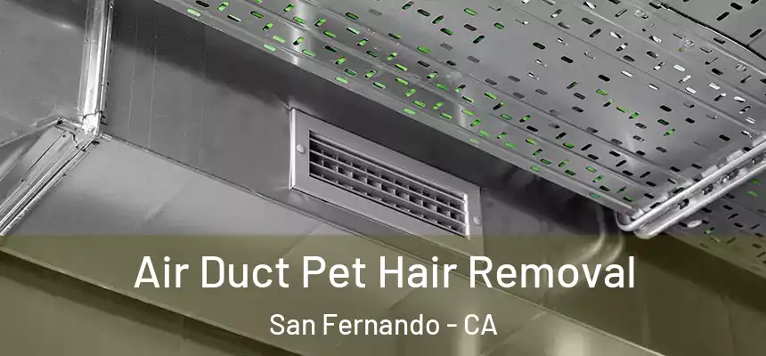 Air Duct Pet Hair Removal San Fernando - CA
