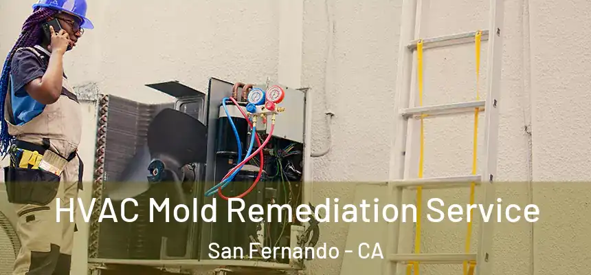  HVAC Mold Remediation Service San Fernando - CA