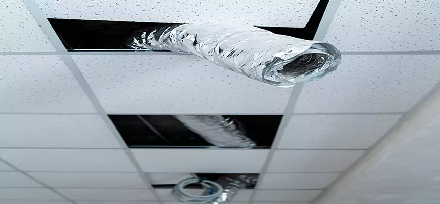 Affordable HVAC Sanitizing After Pest Removal in San Fernando