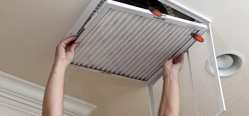 Our Insect Removal from Air Ducts Services in San Fernando, CA