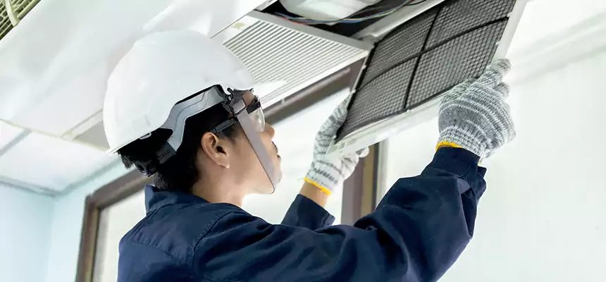 Our Mold & Mildew Removal from Air Ducts Services in San Fernando, CA