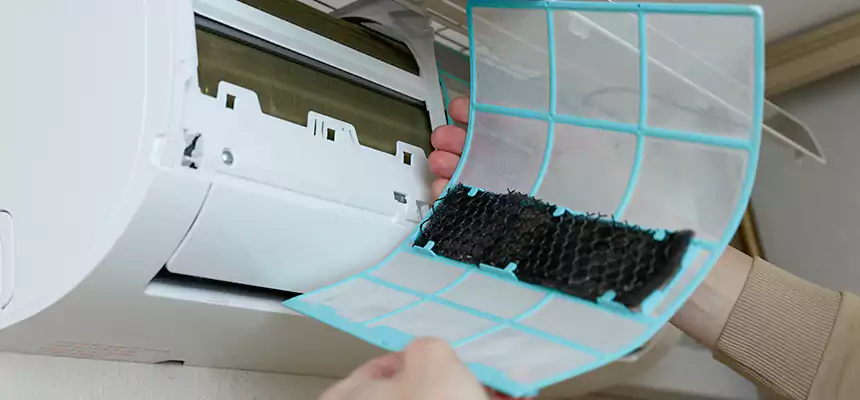 Gentle Ductwork Odor-Control Pet Dander Duct Cleaning in San Fernando, CA