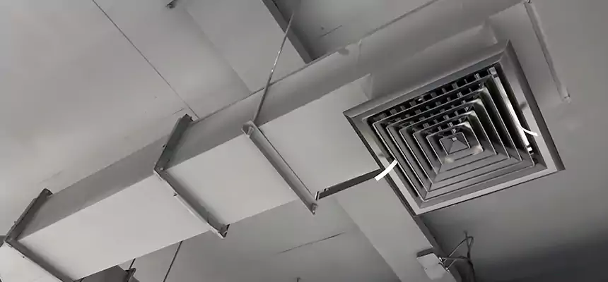 Our Rodent Droppings In Vents Services in San Fernando, CA