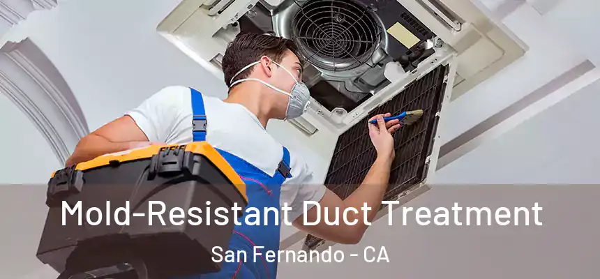  Mold-Resistant Duct Treatment San Fernando - CA