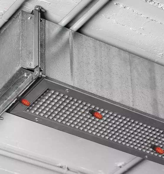 About Air Duct Cockroach Removal in San Fernando, CA