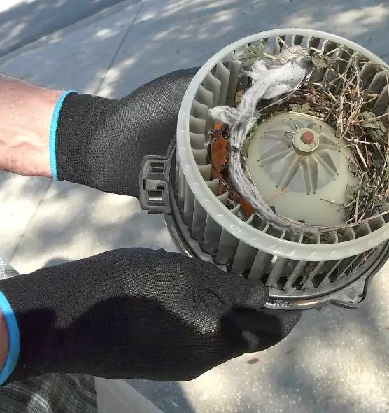 About Air Duct Rat Removal in San Fernando, CA