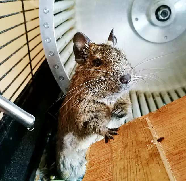 Why Homeowners & Businesses Trust Us San Fernando, CA