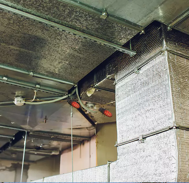 Why Homeowners & Businesses Trust Us San Fernando, CA?