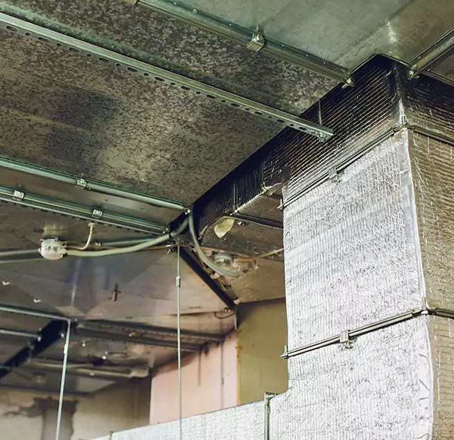 Why Homeowners & Businesses Trust Us in San Fernando, CA?